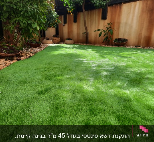 דשא ירוק, עציצים עם צמחים, אבנים קטנות בגינה